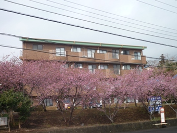 海望む